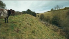 Clarksons Farm - Season 02 Episode 04